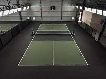 VIP 3 · top view at Apex Pickleball